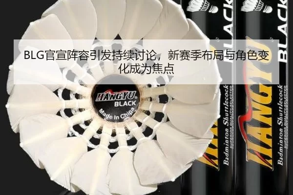 BLG官宣阵容引发持续讨论,新赛季布局与角色变化成为焦点